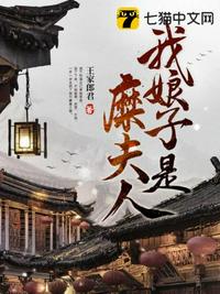 我娘子是糜夫人小说阅读