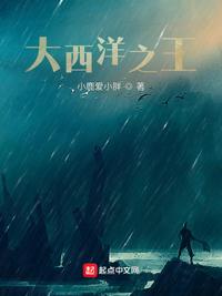 大西洋之王小说阅读