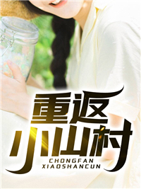 重返小山村小说阅读