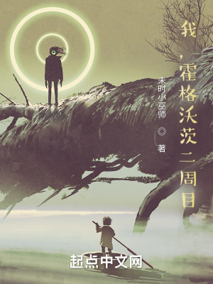 我，霍格沃茨二周目小说阅读