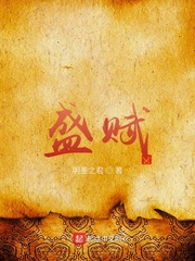 盛赋小说阅读