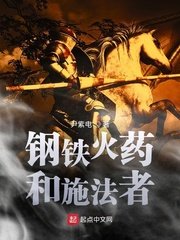 钢铁火药和施法者小说阅读
