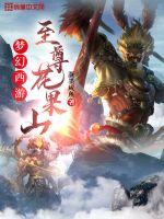 梦幻西游：至尊花果山小说阅读