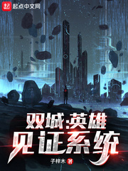 双城：英雄见证系统小说阅读