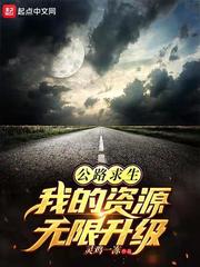 公路求生：从升级资源开始小说阅读