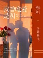 我曾唯爱是图小说阅读