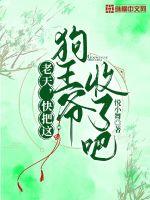 老天，快把这狗王爷收了吧！小说阅读