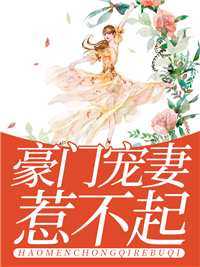 豪门宠妻惹不起 作者：佚名