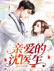 亲爱的沈医生小说阅读