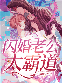 闪婚老公太霸道 作者：佚名