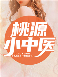 桃源小中医小说阅读