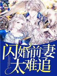 闪婚前妻太难追 作者：佚名
