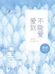 爱到不能爱小说阅读