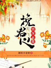 情深未能挽君心小说阅读