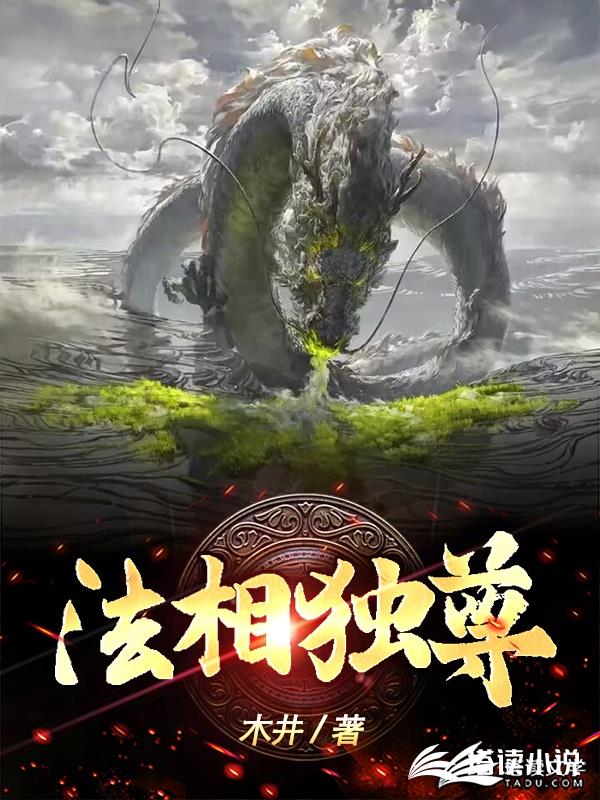 法相独尊方木方旭文小说阅读