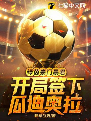 沈豪小说阅读