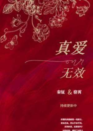真爱无效小说阅读
