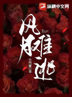 风月难逃小说阅读
