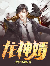 龙神婿小说阅读