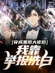 穿成黑帮大佬后我靠举报洗白小说阅读