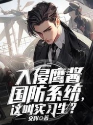 入侵鹰酱国防系统这叫实习生小说阅读