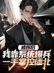 被拐后我靠系统爆兵一手掌控缅北小说阅读