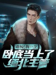 震惊我一个卧底当上了缅北主管by方莫泊小说阅读