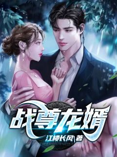 战尊龙婿小说阅读