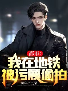 都市：我在地铁被污蔑偷拍小说阅读