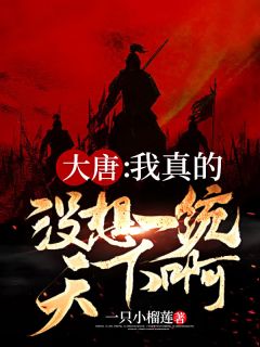 大唐：我真的没想一统天下啊！小说阅读