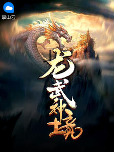 龙武神境小说阅读
