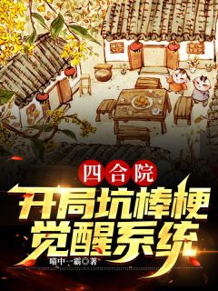 四合院：开局坑棒梗，觉醒系统！小说阅读