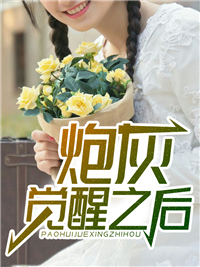 炮灰觉醒之后小说阅读