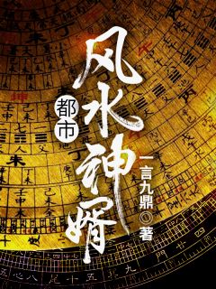 都市风水神婿小说阅读