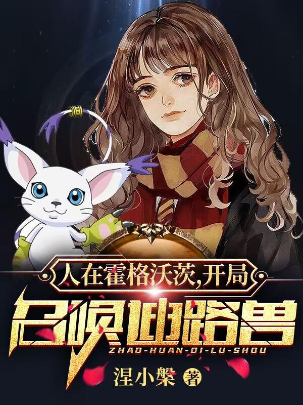人在霍格沃茨，开局召唤迪路兽小说阅读