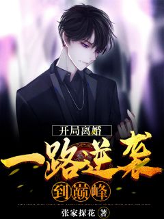 开局离婚，一路逆袭到巅峰小说阅读