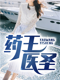 药王医圣小说阅读