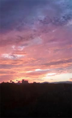 第一章追凶直播，我为真凶小说阅读