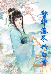 繁华落尽共白首小说阅读