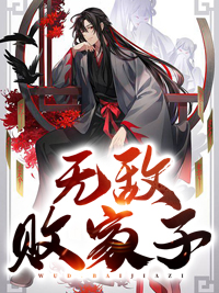 无敌败家子小说阅读