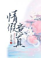 情假意真小说阅读