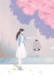 苏念陆经年 作者：佚名