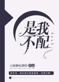 是我不配小说阅读
