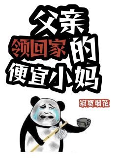 父亲领回家的便宜小妈小说阅读