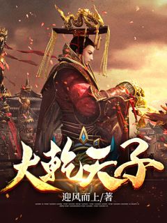 大乾天子小说阅读