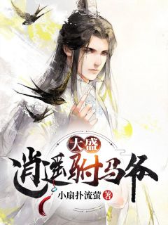 风流才子驸马爷小说阅读