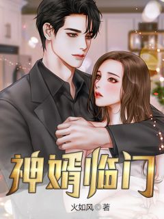 神婿临门小说阅读
