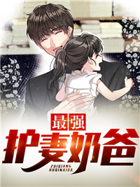 最强护妻奶爸小说阅读