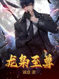 龙枭至尊小说阅读