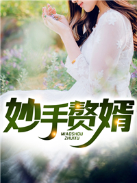 妙手赘婿小说阅读